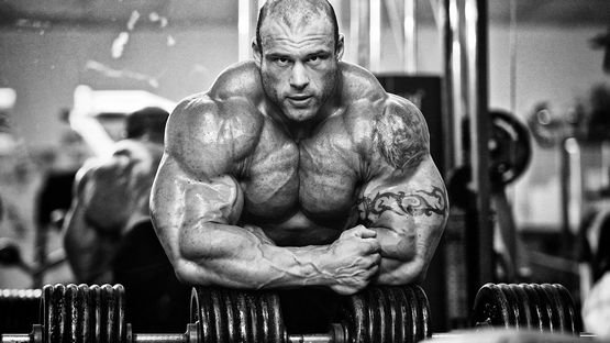 Steroids: Understanding Their Use, Risks, and Benefits Steroids: Understanding Their Use, Risks, and Benefits